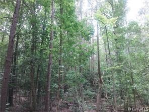 0 Robin Rd unit 1711990, Prince George, VA 23875 - photo 2