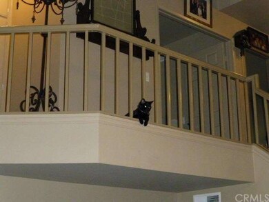please don't let Kitty out!!!!!!! We love her! :)