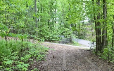 Additional View