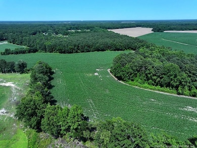 TBD Nc Hwy 71 Hwy, Red Springs, NC 28377 - photo 2