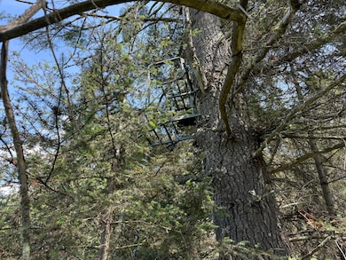 3280 Murmuring Pines Trail, Pelican, WI 54501 - photo 4