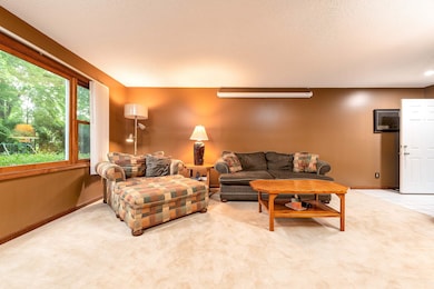 4205 E Patrick Rd, Midland, MI 48642 - photo 6