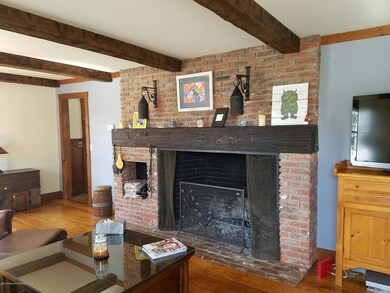 Living room fireplace