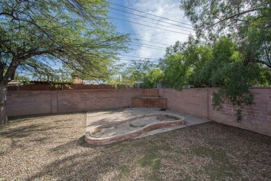 backyard-4