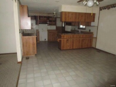 152 County Road 452, Poplar Bluff, MO 63901 - photo 6