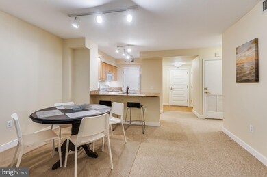 The Lafayette at Penn Quarter unit 230, Washington, DC 20004 - photo 5