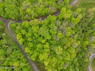 DJI_20250424093332_0445_D-HDR