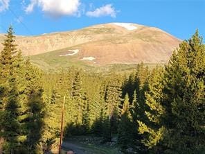 22 Rons Rd, Alma, CO 80420 - photo 2