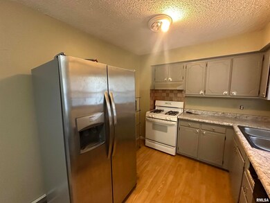 616 W 46th St, Davenport, IA 52806 - photo 5