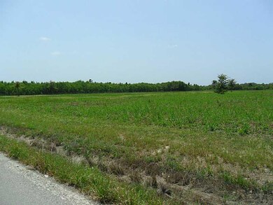 Land/Lot.