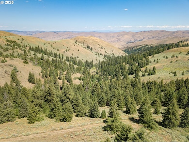 0 Clarks Creek Rd, Bridgeport, OR 97819 - photo 3