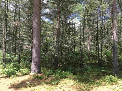 8 Navajo Trail, West Ossipee, NH 03890 - photo 2