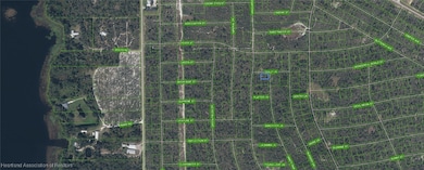 305 Dolly Ln, Lake Placid, FL 33852 - photo 2