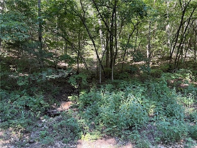 0 Cr 995 Rd unit 1316360, Green Forest, AR 72638 - photo 4