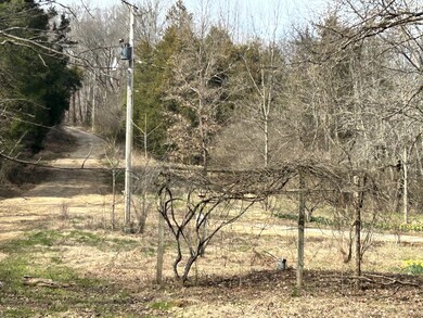 196 Petty Hollow Rd, Prospect, TN 38477 - photo 3