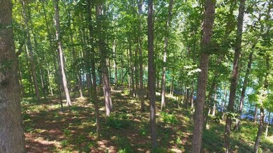 Lot 29 Little Keowee Bay, West Union, SC 29696 - photo 6