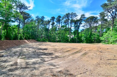 6 Majors Cove Ln, Edgartown, MA 02539 - photo 7