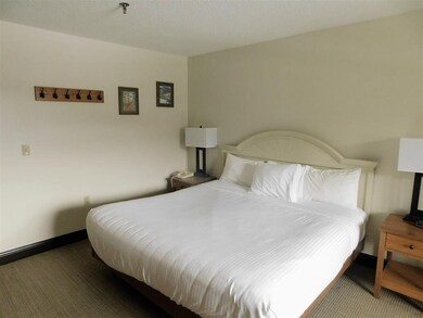 90 Loon Mountain Rd unit 1210A, Lincoln, NH 03251 - photo 4