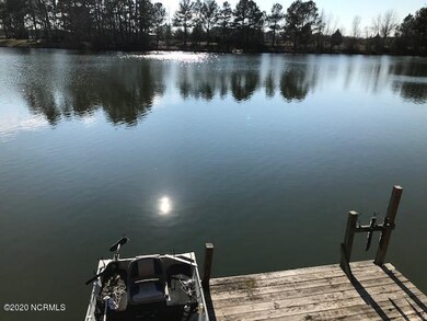 5826 Temperance Hall Rd, Elm City, NC 27822 - photo 7