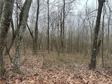 0 Liberty Rd unit 1296842, Leslie, AR 72645 - photo 7