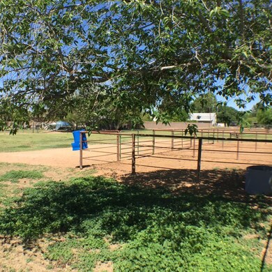 Shade trees near the corral