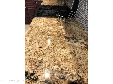 282 Malvine Ave, Staten Island, NY 10309 - photo 4