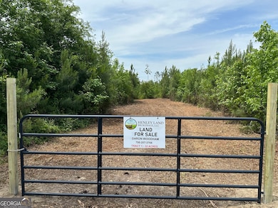 01 Pine Hill Church Rd, Waynesboro, GA 30830 - photo 4