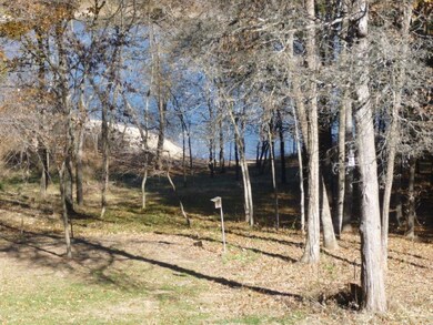 115 Cherokee Dr, Kimberling City, MO 65686 - photo 5