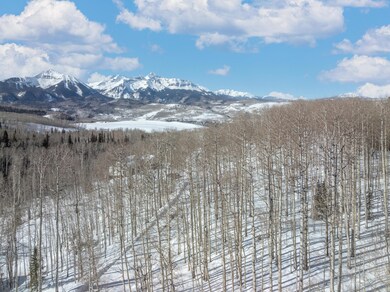 Wilson View