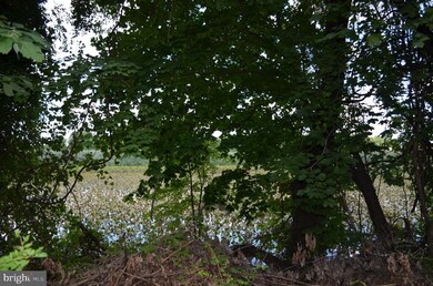 135 Princeton Ave, Gloucester City, NJ 08030 - photo 2