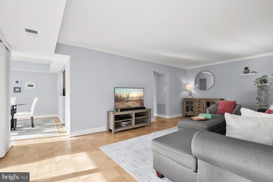 11419 Commonwealth Dr unit 301, Rockville, MD 20852 - photo 7