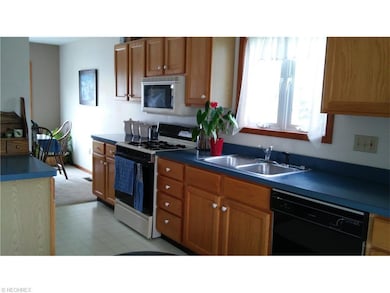 Cheerful kitchen