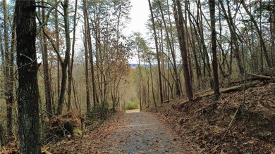 Tract 30 Deerfield Estates, Fairmount, GA 30139 - photo 4