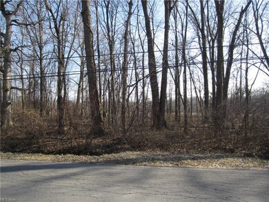 0 Richelieu Ave unit 4084208, Sheffield Lake, OH 44054 - photo 2