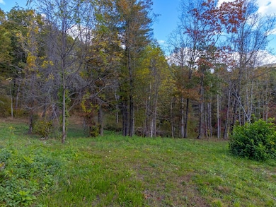 8125 Ellijay Rd, Franklin, NC 28734 - photo 7