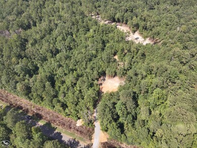 0 Martin Luther King Hwy, Eutaw, AL 35462 - photo 7