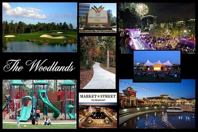 66 N Brooksedge Cir, Spring, TX 77382 - photo 4