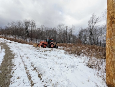 41 Moose Hollow Rd, Winhall, VT 05340 - photo 5