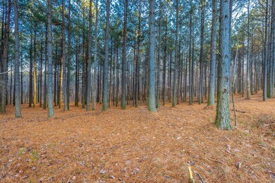 Compass Drive Lot 227A HD-13