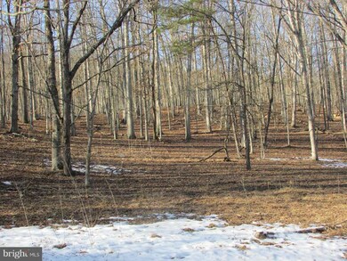 66 Trough Rd, Moorefield, WV 26836 - photo 3