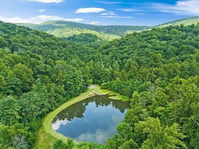 Lots G37 & G39 Lake Rd, Stanley, VA 22851 - photo 7