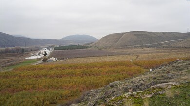 27 S Janis Rd Riverside, Tonasket, WA 98855 - photo 3