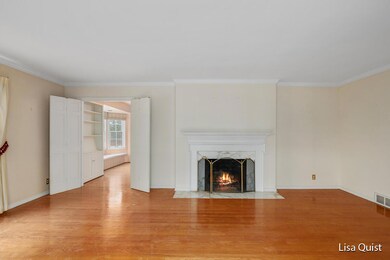 Wood burning fireplace