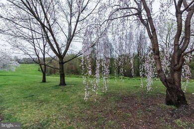 2843 Chesterfield Ave, Baltimore, MD 21213 - photo 3