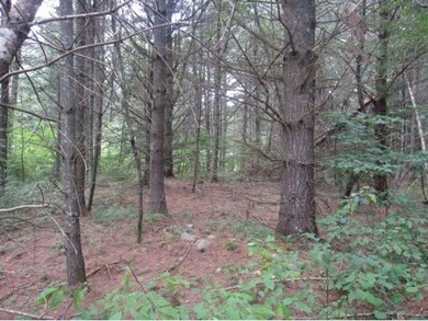 32 Mountain View Dr, Franconia, NH 03580 - photo 3