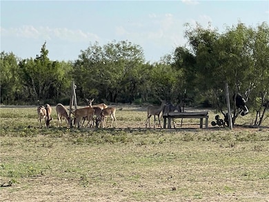 0 NE Loma Blanca Rd NE unit 463874, Roma, TX 78584 - photo 5