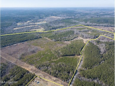 0 1621 Cr 111 unit 4104783, Shubuta, MS 39360 - photo 6