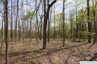 0 Ferris Ln unit 114941, Red Hook, NY 12571 - photo 6