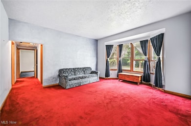 Living area with carpet and a textured ceiling