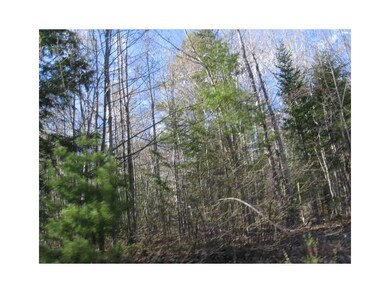 Land/Lot.